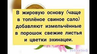 ЭХИНАЦЕЯ ПУРПУРНАЯ 3 или Красота для иммунитета (см. часть 1, часть 2)