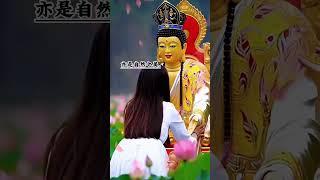 #佛语禅音#禅意对话#岁月智慧#优雅老去