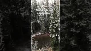 Woke up in Vail, Colorado with the most beautiful view. #grateful #blessed #abiwildrose #beautiful