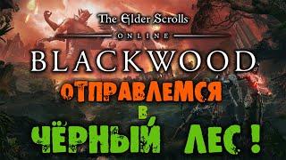 Отправляемся в Чёрный Лес в The Elder Scrolls Online - Blackwood Прохождение