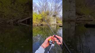 Catch and cook  #fishing #cooking