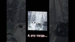 Коты воители эдит |это сейчас а это тогда | заказ