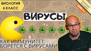 Вирусы. Биология 5, 6 класс. Как атакуют вирусы гриппа человека? Строение, отличие от бактерий. ЕГЭ