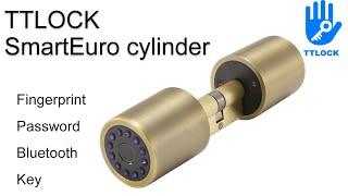 TTlock bluetooth smart euro profile lock cylinder OS103FB