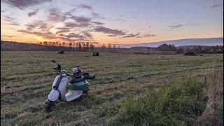 Бичдальняк выходного дня. 370 км на Honda Giorno