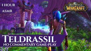 Teldrassil - Gameplay No commentary - Part 2, ASMR (1 hour, 4K, World of Warcraft Vanilla)