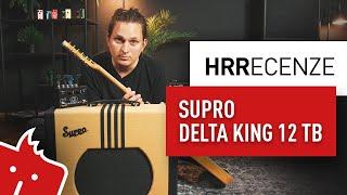 HRR: Supro Delta King 12 TB + Pigtronix Infinity 2 Bundle