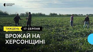 Зернові, овочі та баштанні – який врожай на правобережжі Херсонщини | Тиждень.Херсон 17.08.24