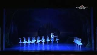 Swan Lake: Anna Nikulina, Semyon Chudin