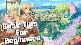 Rune Factory 4 Special: The BEST Tips and Tricks for NEW PLAYERS