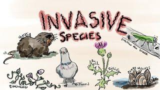 What Are Invasive Species?