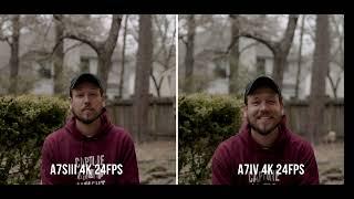 4k 24fps Comparison Between the A7siii vs A7iv - Which Is Better?