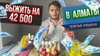 МИССИЯ: ВЫЖИТЬ НА 42500. Сравнение цен на рынках и в Магнуме, закуп, новое блюдо, лайфхаки