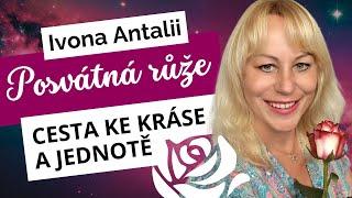 Posvátná růže - cesta ke kráse a Jednotě | Ivona Antalii