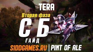 TERA Святилище Бахаара 2 фаза Гайд