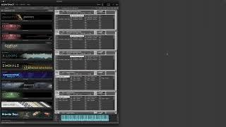 Native Instruments Kontakt 8.0.1 Crashes on Multi with instrument Banks