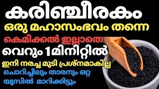 കരിഞ്ചീരകം കൊണ്ട് നരച്ച മുടി എന്നന്നേക്കുമായി കട്ടകറുപ്പാക്കാം/Best Homemade Hair Dye/Natural Dye.