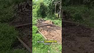 Lizard Invades My Campsite! Food, Nature & Unexpected Guests!