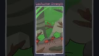 Leafcutter Ant Strength