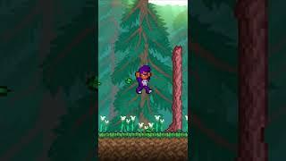 НЕ ДЕЛАЙ Эти Ошибки в Террарии | Terraria 1.4.5 #terraria #террария #террария_ванкор