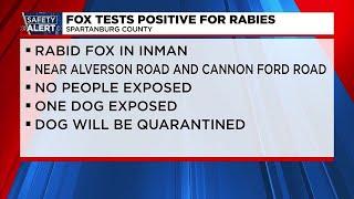 Dog exposed after fox tests positive for rabies in Spartanburg Co.