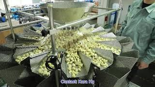 Snack Food Premade Pouch Rotary Feeding Packing Machine from Wilpac Packaging