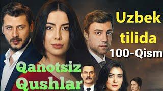 Qanotsiz Qushlar 100-Qism uzbek tilida Канотсиз Кушлар 100-Кисм узбек тилида