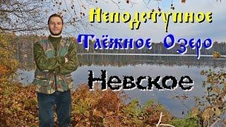 Неподступное Таёжное Озеро Невское