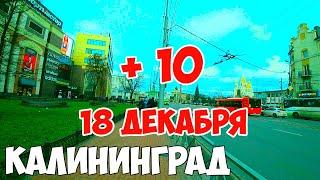 Калининград  18 декабря 2019  ПОГОДА / ЦЕНТР ГОРОДА