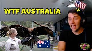 American reacts to Australia's Largest Eagle
