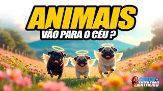 Os Animais Têm Alma? Verdades, Crenças e Curiosidades