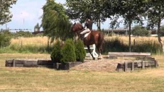 Leo Jumper lesson on grass last one before the show