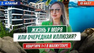 Кто не рискует, тот не живет в квартире в Алании у моря! Купить недвижимость в Турции