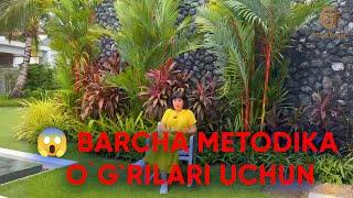 Barcha metodika o`g`rilari uchun