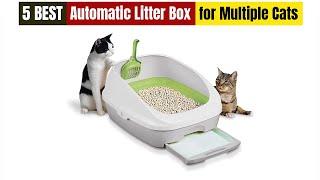 Best Automatic Litter box for Multiple Cats  of 2024 [Updated]