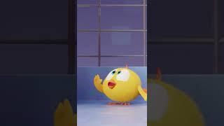 A little toboggan ride #chicky | Chicky Cartoon in English for Kids