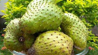 Preserving this botanical fruit