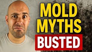 Mold Myths Busted: What Really Works (and What Doesn’t)