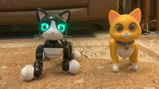 Disney Pixar Lightyear Ultimate Mission Sox & Spin master Zoomer Kitty robotic cats comparison