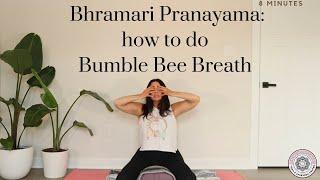 Bhramari Pranayama - How to do Bumble Bee Breath - Online Yoga School