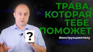 Как лечиться ТРАВАМИ. ФИТОТЕРАПИЯ. #инструкцияктелу