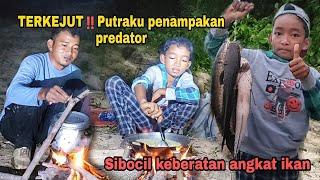 TERKEJUT‼️ Putraku penampakan predator | Sibocil keberatan angkat ikan