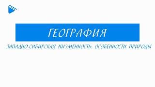 8класс - География - Западно-сибирская низменность: особенности природы