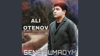 Sene almadym