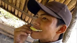 Eat bamboo shoots and fish very delicious.