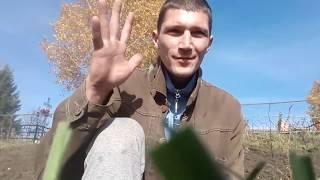 Достучаться до небес со дна!!!Дима Осинкин,Привет!!!