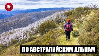 Поход выходного дня по Австралийским Альпам