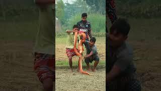 Trending King Cobra Snake Prank On Public Part - 22 ! SHORTS FUN #shorts #prank #trending #funny