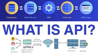 What is an API?