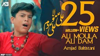 ALI MOLA ALI DAM DAM | AMJAD BALTISTANI | Official Video | TNA RECORDS